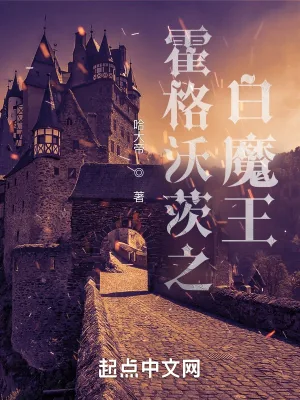 《霍格沃茨之白魔王》小说封面