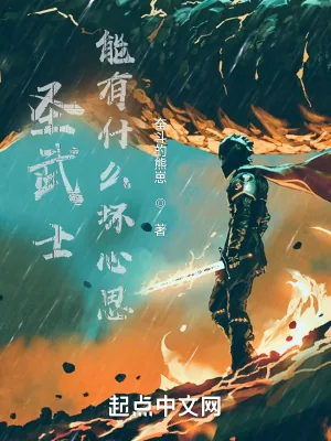 《圣武士能有什么坏心思》小说封面