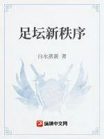 《足坛新秩序》小说封面