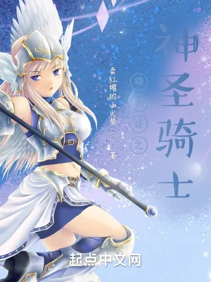 《雄兵连之神圣骑士》小说封面
