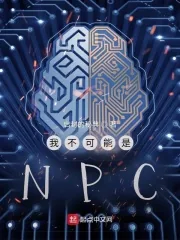 《我不可能是NPC》小说封面