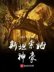 《斯坦索姆神豪》小说封面