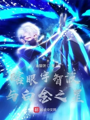 《瞎眼宇智波与白金之星》小说封面