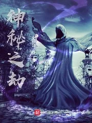《神秘之劫》小说封面
