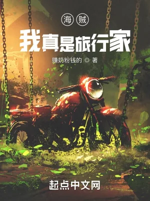 《海贼：我真是旅行家》小说封面