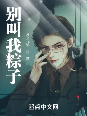 《别叫我粽子》小说封面