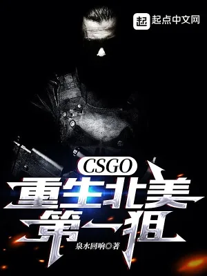 《CSGO:重生北美第一狙》小说封面