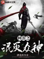 《网游之泯灭众神》小说封面