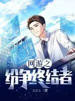 《网游之纷争终结者》小说封面