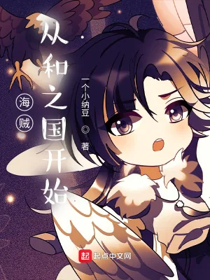 《海贼：从和之国开始》小说封面