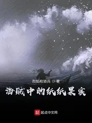 《海贼中的纸纸果实》小说封面