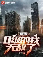 《网游：0级的我无敌了》小说封面