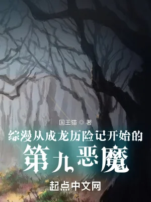 《综漫从成龙历险记开始的第九恶魔》小说封面