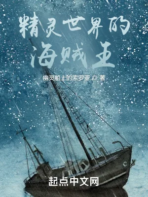 《精灵世界的海贼王》小说封面