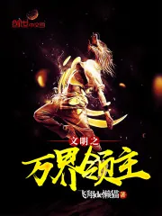 《文明之万界领主》小说封面