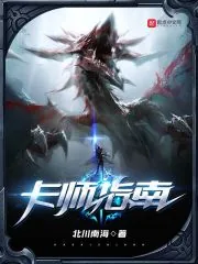 《卡师指南》小说封面
