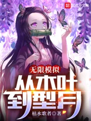 《无限模拟：从木叶到型月》小说封面