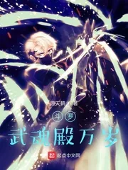 《斗罗：武魂殿万岁》小说封面