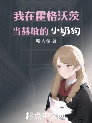 《我在霍格沃茨当赫敏的小奶狗》小说封面
