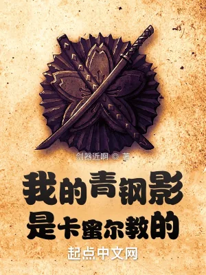《我的青钢影是卡蜜尔教的》小说封面