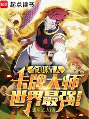 《全职猎人：卡牌大师，世界最强》小说封面