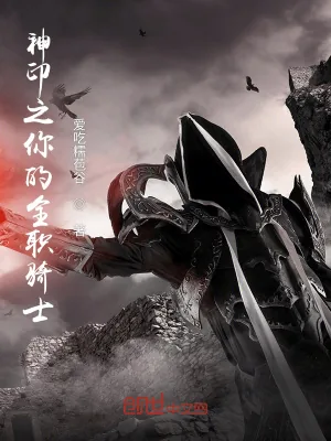 《神印之你的全职骑士》小说封面
