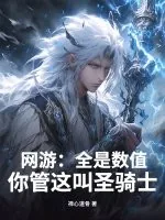 《网游:全是数值,你管这叫圣骑士?》小说封面