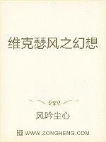《维克瑟风之幻想》小说封面