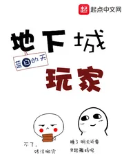 《地下城玩家》小说封面