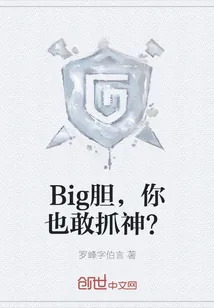 《Big胆,你也敢抓神?》小说封面