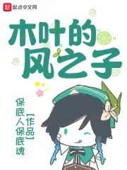 《木叶的风之子》小说封面