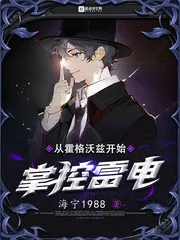《从霍格沃兹开始掌控雷电》小说封面