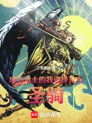 《成为术士的我选择去当圣骑！》小说封面