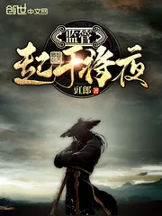 《监管起于将夜》小说封面