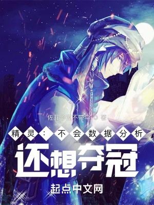 《精灵：不会数据分析，还想夺冠？》小说封面