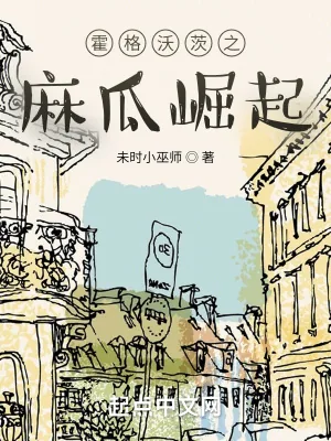 《霍格沃茨之麻瓜崛起》小说封面