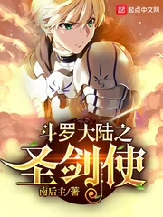 《斗罗之圣剑使》小说封面