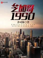《芝加哥1990》小说封面