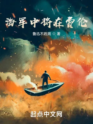 《海军中将在费伦》小说封面