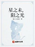 《星之未，阳之光》小说封面