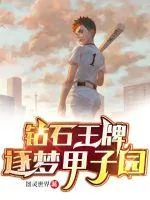 《钻石王牌：逐梦甲子园》小说封面