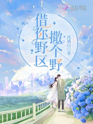 《借你野区撒个野》小说封面