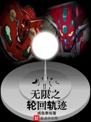 《无限之轮回轨迹》小说封面