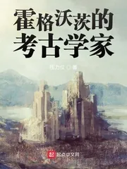 《霍格沃茨的考古学家》小说封面