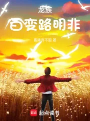 《龙族：百变路明非》小说封面