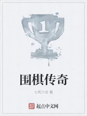 《围棋传奇》小说封面