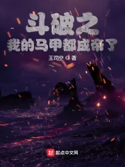《斗破之我的马甲都成帝了》小说封面