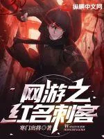 《网游之红名刺客》小说封面