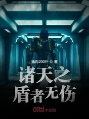 《诸天之盾者无伤》小说封面