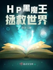 《HP黑魔王拯救世界》小说封面